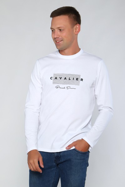 Мужской лонгслив 55063 НТ Мужской лонгслив 55063 НТ